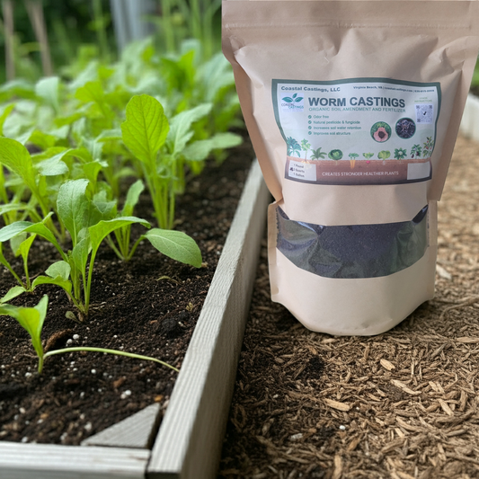 Premium Worm Castings